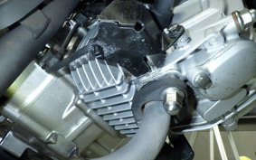 HONDA MONKEY 125 ABS 2025 JB02