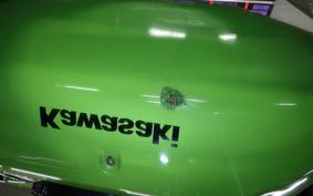 KAWASAKI ZRX1100 2001 ZRT10C