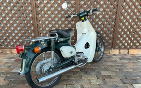 HONDA SUPER CUB50 C50