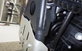 OTHER +ENFIELD ﾋﾏﾗﾔﾝ 2023