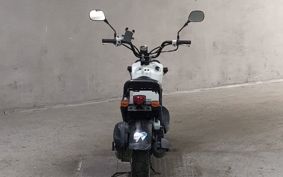 HONDA ZUMAR AF58