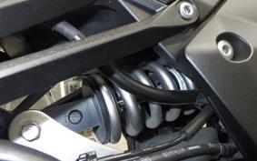 KAWASAKI NINJA 1000 SX 2023 ZXT02K