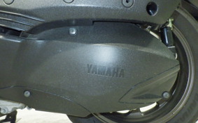YAMAHA ﾄﾘｼﾃｨ300 2022