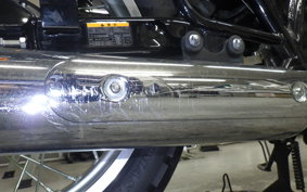 KAWASAKI W800 2016 EJ800A