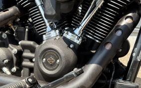 HARLEY FXLRST 2024 YXZ