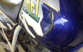 SUZUKI DJEBEL 250 XC SJ45A