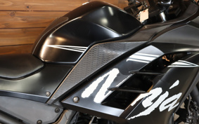 KAWASAKI NINJA 250 EX250L