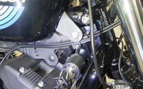 HARLEY XL1200NS 2019