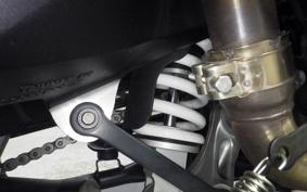 TRIUMPH TIGER 800 2019