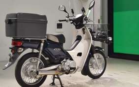 HONDA C110 SUPER CUB
