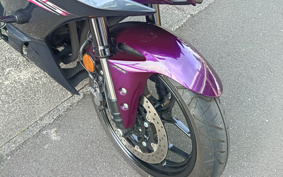 YAMAHA YZF-R25 RG74J