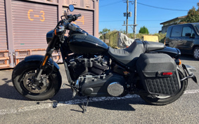 HARLEY FXFBS 2019 YYK