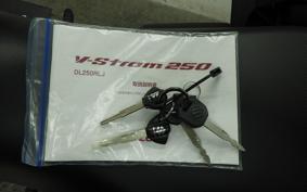 SUZUKI V-STROM 250 A 2018
