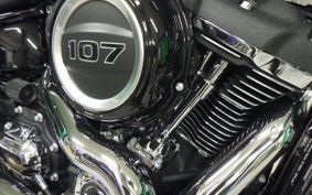 HARLEY FLSB 1750 2022