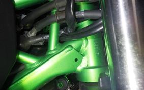 KAWASAKI Z250 Gen.2 2019 EX250Y