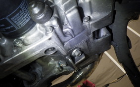 HONDA FORZA 250 2022 MF13