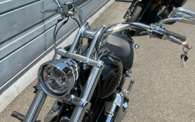 HARLEY FXCWC 2008 JK5