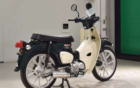 HONDA C110 SUPER CUB 2007 JA59