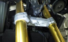 SUZUKI DL1000 ( V-Strom 1000 ) A 2015 VU51A