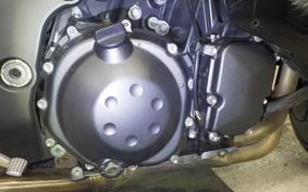 KAWASAKI ZX 1400 NINJA 2012
