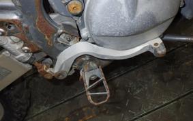 SUZUKI RMX250