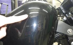 HARLEY XL1200NS 2020