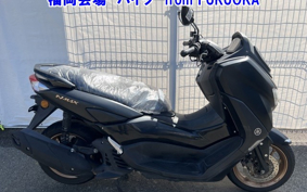 OTHER N MAX-2
