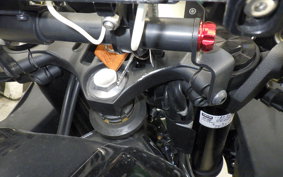 YAMAHA YZF-R3 2021 RH13J