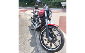 HARLEY HARLEY FLI HYDRA-GLIDE 2020 YHK