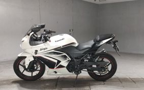KAWASAKI NINJA250R EX250K