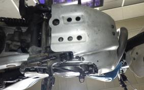 YAMAHA TT250R RAID 4GY