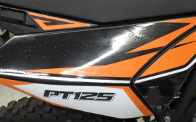 OTHER +UNREGISTERED MODEL by BDS125 2026