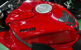 DUCATI PANIGA-REV4S 2025 5D00