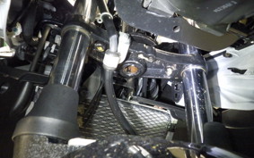 SUZUKI GSX250 R 2019