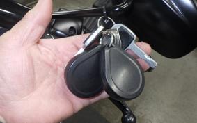 HARLEY FXBB1750 2018