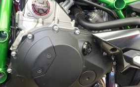 KAWASAKI NINJA H2 CARBON 2019 ZXT02J