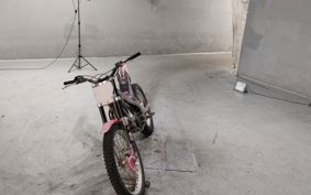 OTHER  GASGAS TXT PRO250 ..