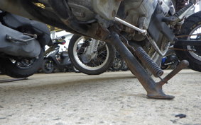 YAMAHA VIRAGO 250 3DM