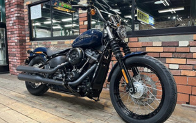 HARLEY FXBB 2018 YJJ