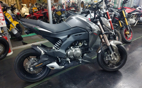 KAWASAKI Z125 PRO BR125H
