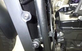 HONDA REBEL 250 A 2019 MC49