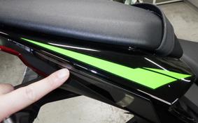 KAWASAKI NINJA ZX-6R A 2024 ZX636J