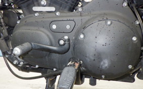 HARLEY XL1200NS 2019