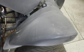 OTHER +UNREGISTERED MODEL by BDS TRIKE250 GW