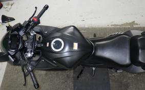 SUZUKI GIXXER 250 SF 2006 ED22B