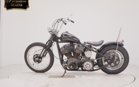 OTHER +UNREGISTERED MODEL by BDS1200 2015