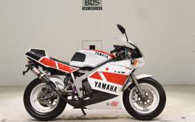 YAMAHA TZM50R 1994 4KJ