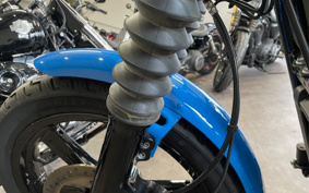 HARLEY FXBBS 2022 YYK