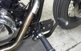 OTHER THUNDER250