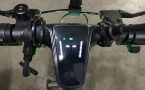 OTHER MINI BIKE ..
